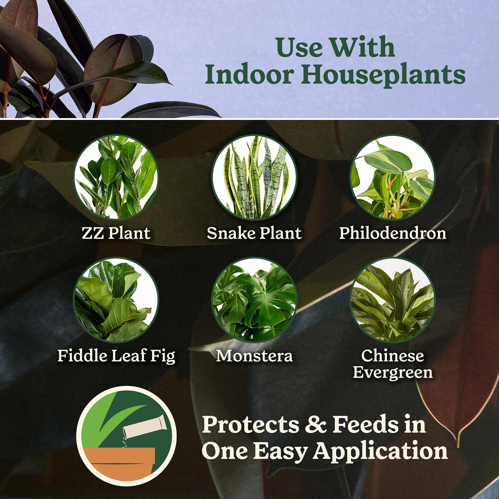 Miracle-Gro Plant Care Gnat Control Plus Plant Food, for Indoor Plants, Houseplants, Vegetables, and Herbs, 4 Packets