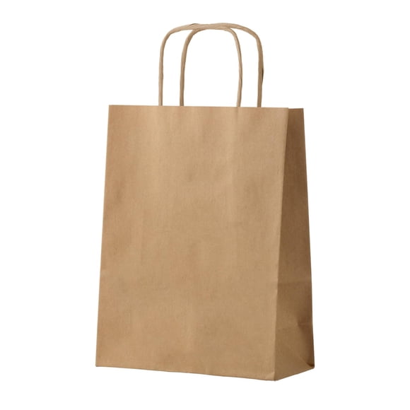 Bolsas de papel FACEBAG, 50 unidades, color marrón, con asas, 8 x 11 x 27 cm