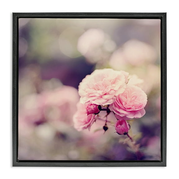 Stupell Industries Pink Garden Ranunculus Plants & Flowers Photography Black Floater Framed Canvas Art Print Wall Art, 18 x 18