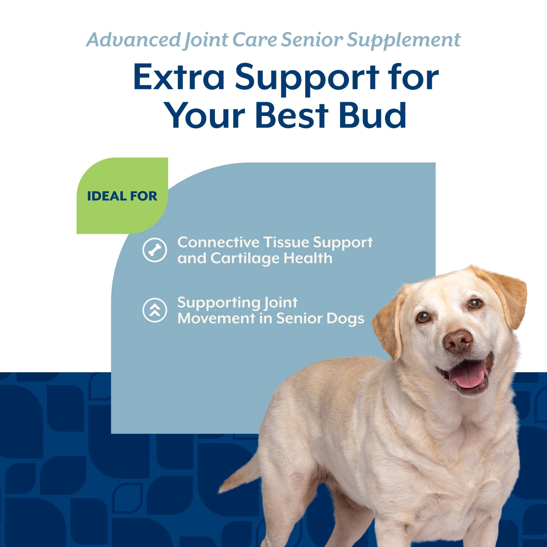 NaturVet Advanced Joint Care Senior Supplements, Bacon and Chicken Flavor, 60 Count