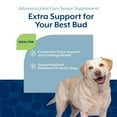 thumbnail image 6 of NaturVet Advanced Joint Care Senior Supplements, Bacon and Chicken Flavor, 60 Count, 6 of 8