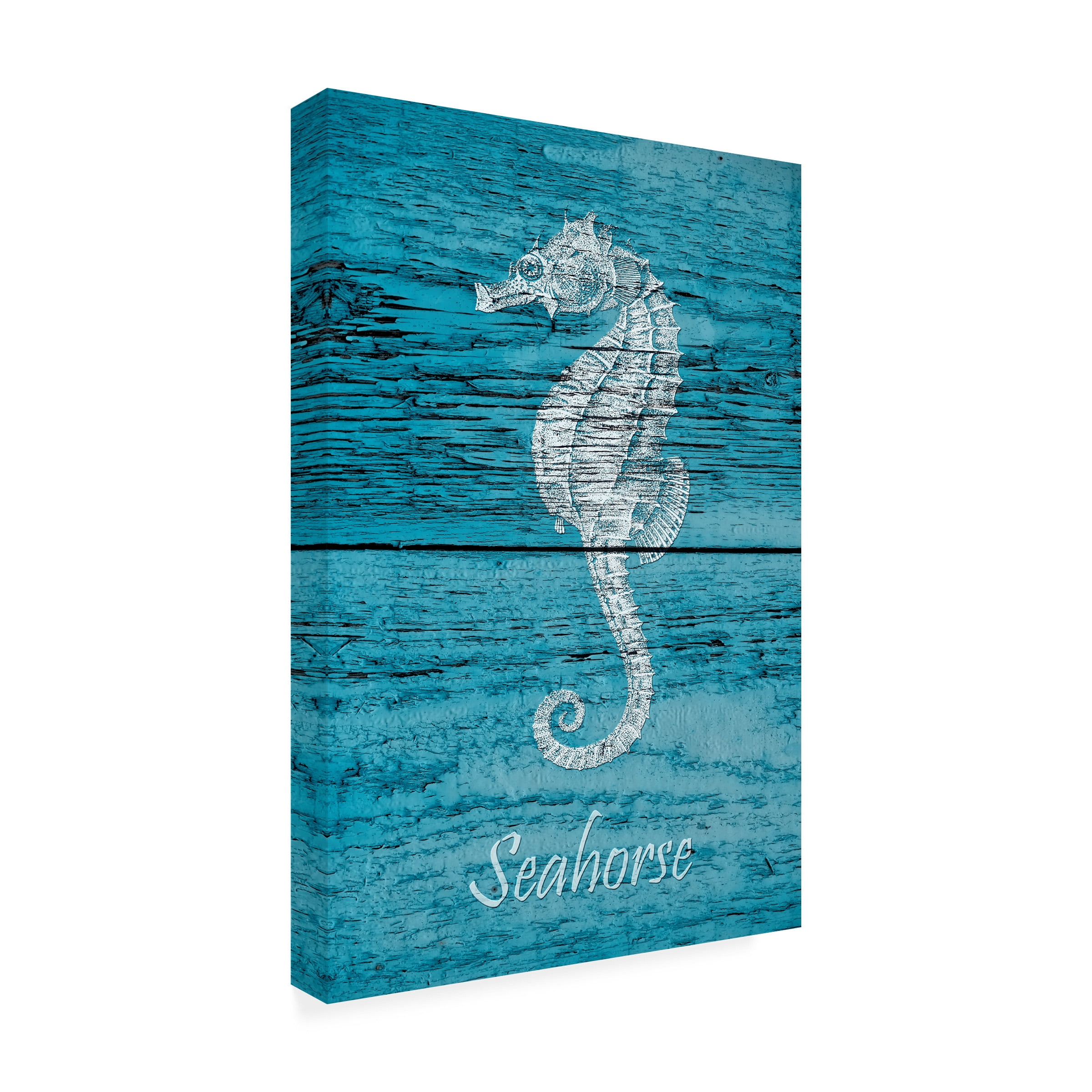 Cora Niele 'Seahorse on Blue Wood 1' Canvas Art