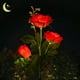 thumbnail image 1 of Luz Solar decorativa para jardín, impermeable, para exteriores, con LED, para jardín, césped, campo, camino (rosa roja), 1 ud., 1 of 1