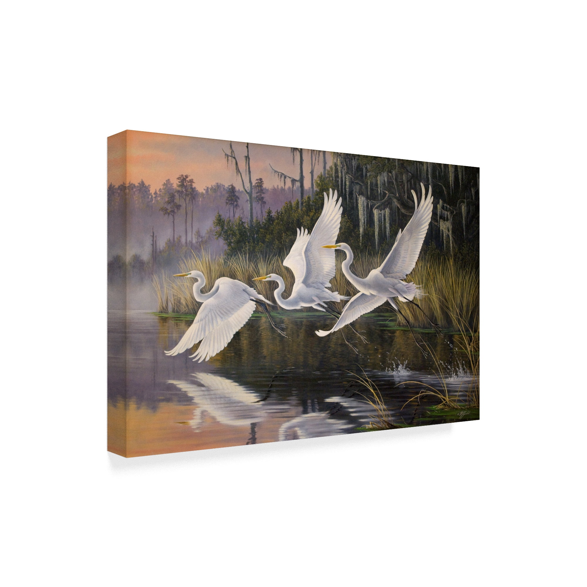 Trademark Fine Art 'Morning Departure Egrets' Canvas Art by Wilhelm Goebel