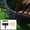 Black, variant on Garden Edging Kits,No-Digging Garden Plastic Fences with 30 Gray Stakes Landscaping Border for Flower Beds,Yards,Lawns (25ft Length)