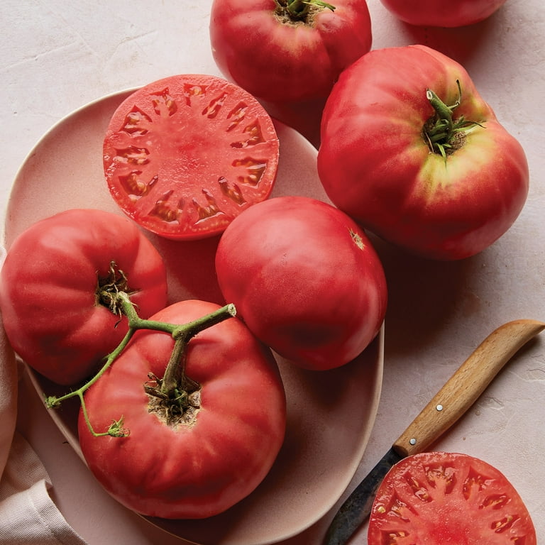 Pink tomato ropa new arrivals