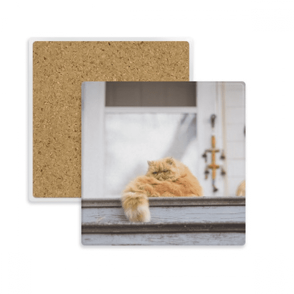 Animal Fat Garfield Cat Photograph Square Coaster Cup Mat Mug Subplate Holder Insulation Stone