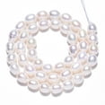 thumbnail image 2 of 2Strand Natural Cultured Freshwater Pearl Beads Strands Rice Seashell Color 7~9x6.5~7.5mm Hole: 0.7~0.8mm about 43~44pcs/strand 14.37 inch(36.5cm), 2 of 6