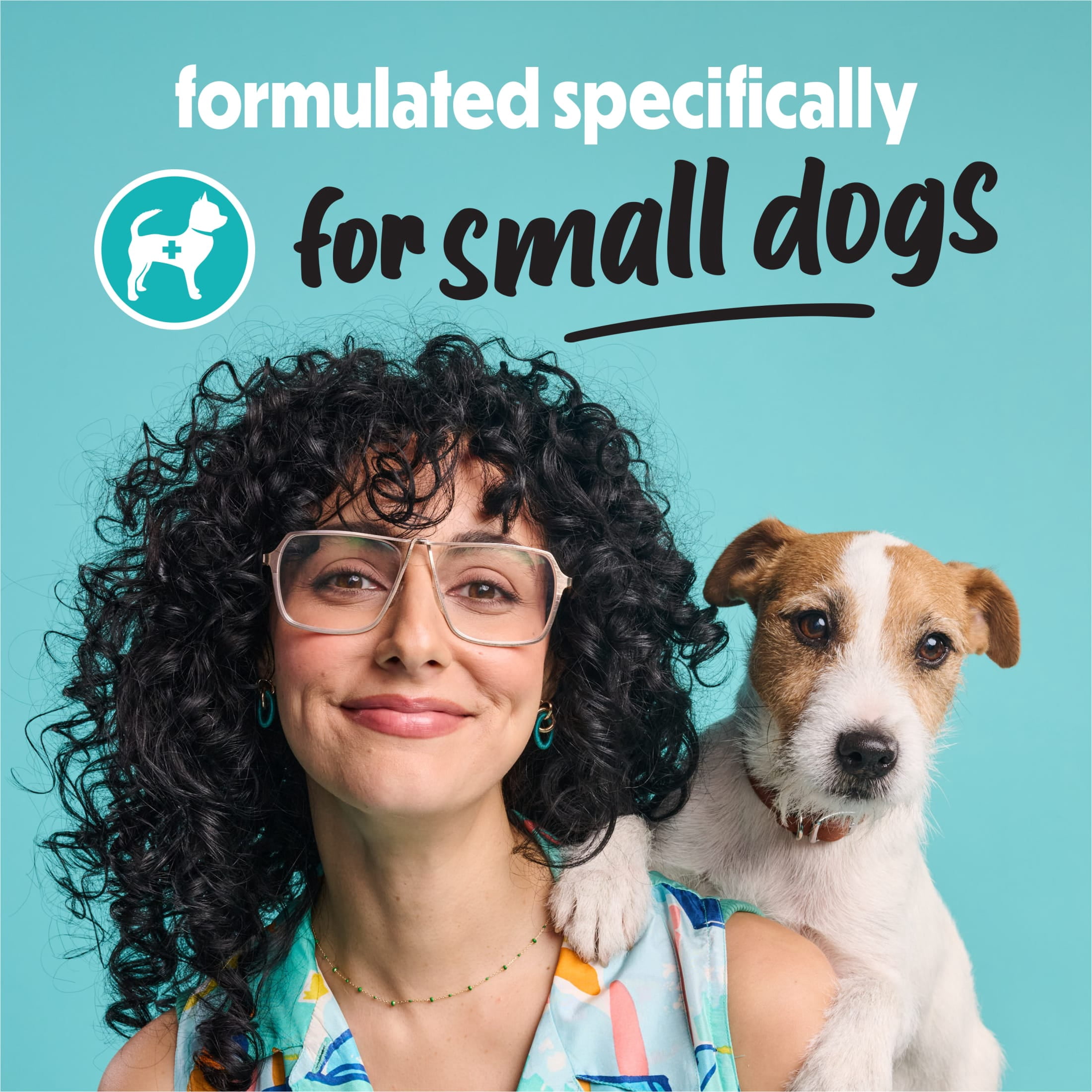 (6 pack) Purina Beneful Small Breed Wet Dog Food in Gravy, IncrediBites with Real Chicken, 3 oz Cans