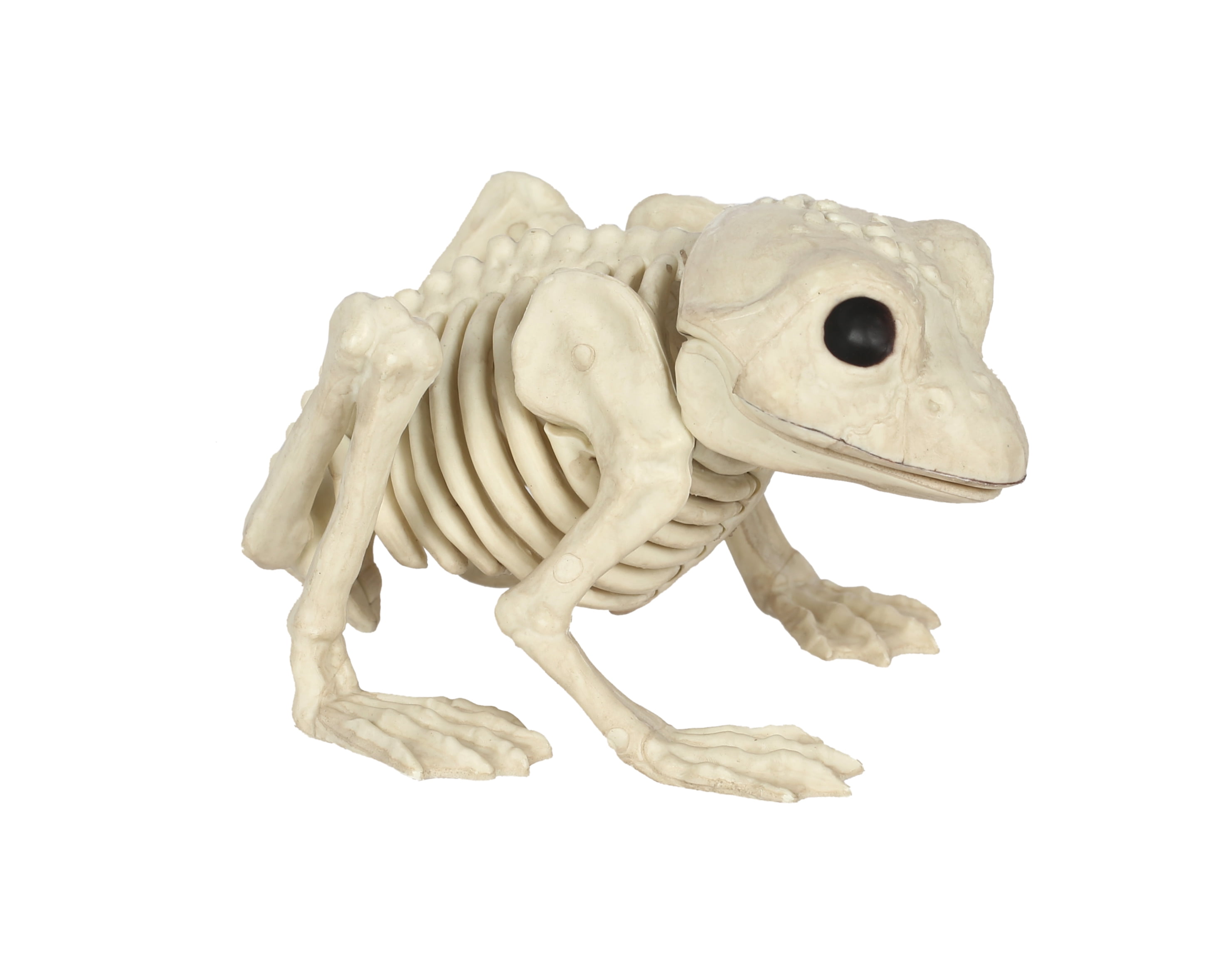 Love has no labels skeleton video