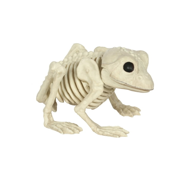 Frog Skeleton Halloween Decoration - Walmart.com