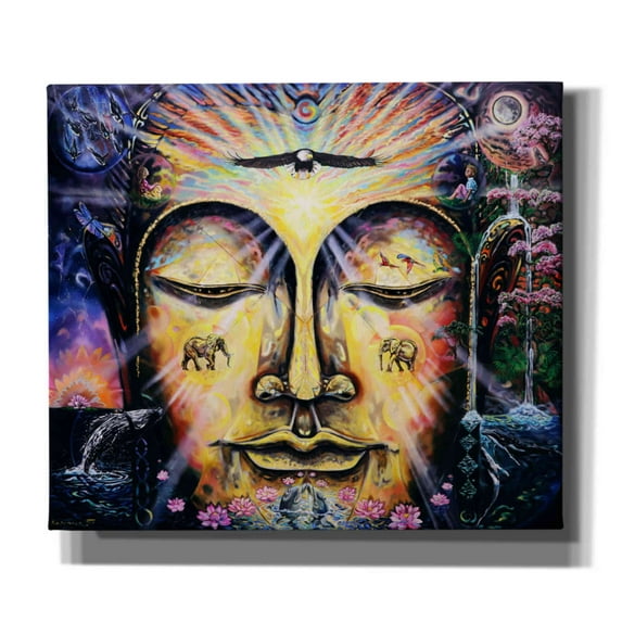 Epic Graffiti 'Buddha Elephant ' by Jan Kasparec, Canvas Wall Art, 30"x26"