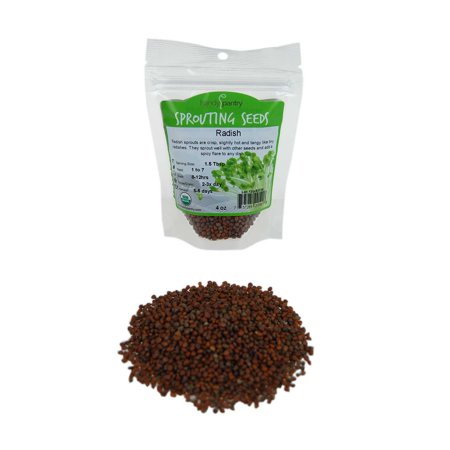 Sprouting Radish Seeds Organic Radish Sprouting Seeds -1/4 Lbs (4 Oz)- Radish Seed for Sprouting Sprouts, Cooking, Soup, Food Storage, Hydroponics, Gardening & More ()
