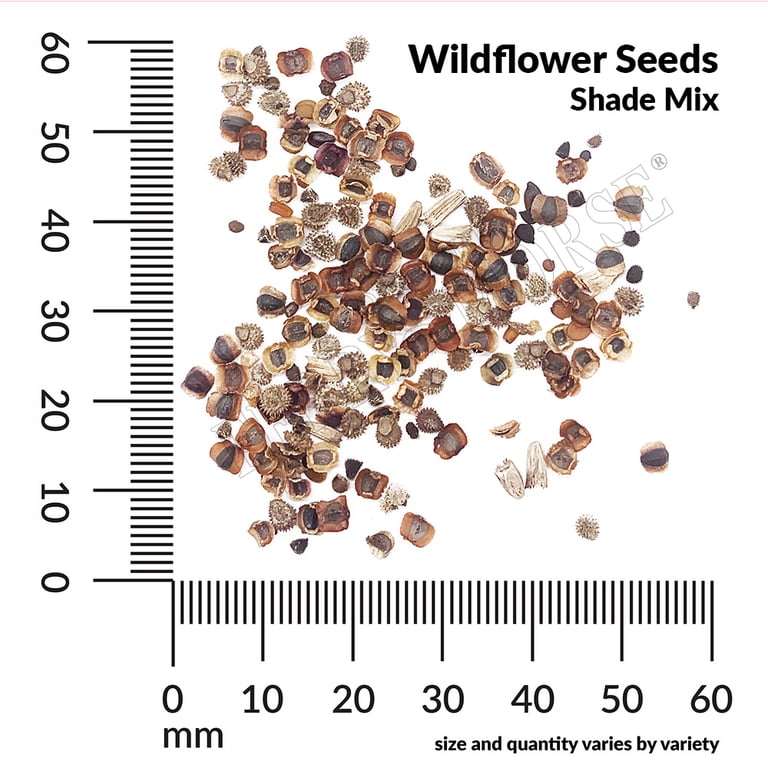 Ferry-Morse Economy 7.5G Wildflower Shade Mixture Annual Flower
