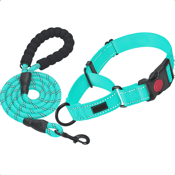 CHOK 2 Packs Martingale Dog Collar with Quick Release Buckle for Small Medium Large Dogs Blue M