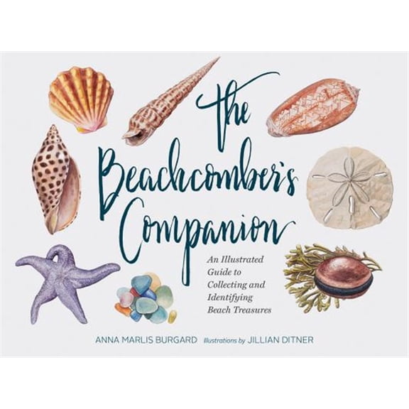 Pre-Owned The Beachcomber's Companion: An Illustrated Guide to Collecting and Identifying Beach Treasures (Hardcover) 145216116X 9781452161167