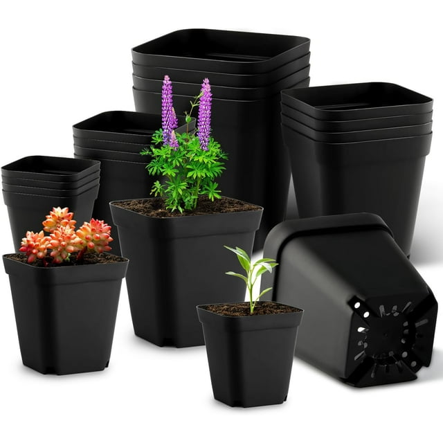 Cell Thick Durable Flats Vegetable Fruit Seeds Seedling Plastic Plug Farmer Nursery Trays Roots