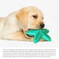 thumbnail image 3 of Blue Blue Floating Sound Dog Toy Molars Dog Toothbrush Tpr Starfish Shape Chew Squeaky Float, 3 of 9