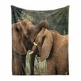 thumbnail image 1 of Safari Soft Flannel Fleece Throw Blanket, 2 Wild SavannahWrestling Nature South Animals Photo, Cozy Plush for Indoor and Outdoor Use, 50" x 60", Brown Green, by Ambesonne, 1 of 6