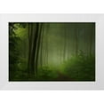 thumbnail image 1 of Maier, Norbert 14x11 White Modern Wood Framed Museum Art Print Titled - forest morning, 1 of 4