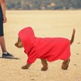 thumbnail image 3 of Sudadera Con Capucha Para Perros, Sudadera Con Capucha Para Perros, Sudaderas Con Capucha Para Perros Y Gatos, Sudadera Con Capucha Cálida De Invierno Para Mascotas, Abrigo Para ANGGREK Dog Clothes, 3 of 8