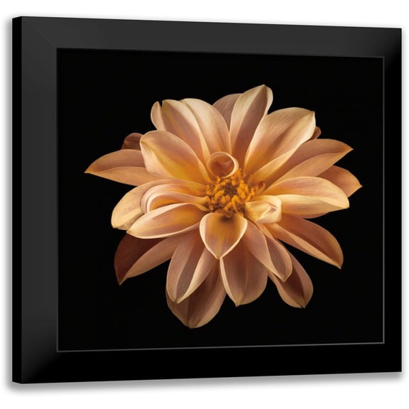 Frank, Assaf 12x12 Black Modern Framed Museum Art Print Titled - Four Keeps II