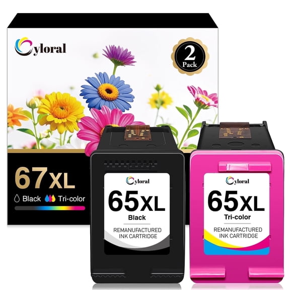 65XL Ink Cartridges Black and Color Compatible with 65 Printer Ink Deskjet 3722 3755 3720 3758 2652 2655 Envy 5055 5052 5058 Printer