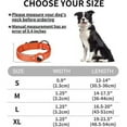 thumbnail image 2 of Reflective AirTag Dog Collar,Padded for Apple Air Tag  Adjustable Dog Collar with AirTag Holder Case for Heavy Duty Small Medium Large Dogs, 2 of 7