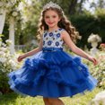 thumbnail image 2 of FhsagQ Robe de Fête Sans Manches pour Fille, Robe à Volants, Robe Tutu de Cérémonie pour Fille (Bleu Taille 3-4 Ans), 2 of 9