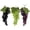 60 pills, variant on Jiibva Artificial Grapes, 3 Bunches of Fake Decorative Grapes Simulation Fruit with Artificial Vines Lifelike Leaves Hanging Ornaments for Wedding Home Party Garden
