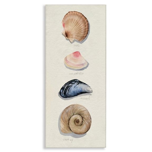 Stupell Industries Nautical Sea Shells over Soft Beige Sand,13 x 30,Designed by Grace Popp
