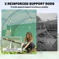 thumbnail image 4 of Outsunny Walk-in Tunnel Greenhouse Plant Hot House with Support Rods, Green, 4 of 10
