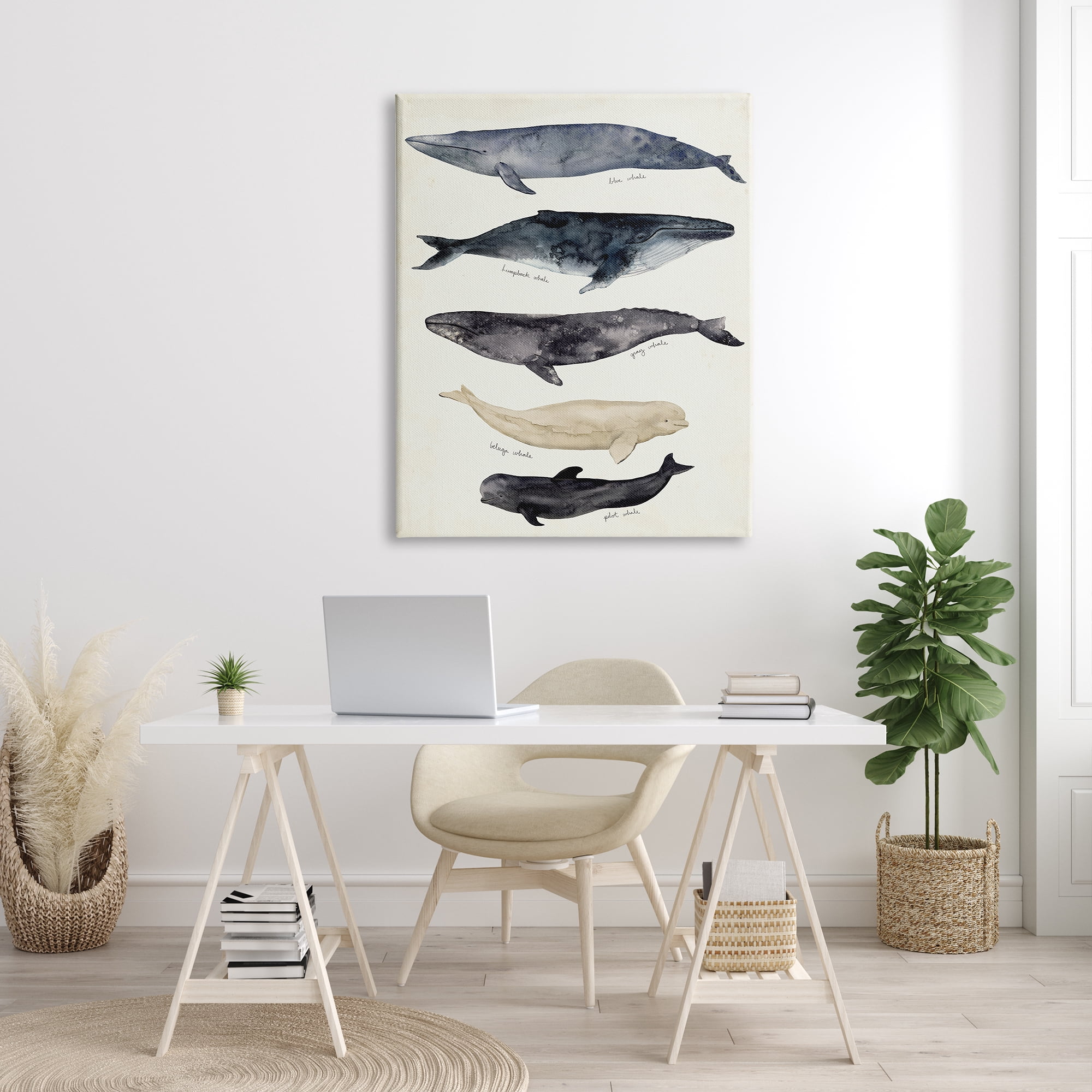 Design by Victoria Barnes Antique Whale Chart Large Vintage Nautical Animals 36 in x 48 in Painting Canvas Art Print, by Stupell Home Décor