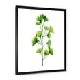 thumbnail image 2 of Designart 'Green Field Plant Foliage Branch' Farmhouse Framed Art Print, 2 of 4