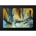 thumbnail image 2 of Juzak, Peter 14x11 Black Modern Framed Museum Art Print Titled - BernsteinsÃ¤ure, 2 of 5