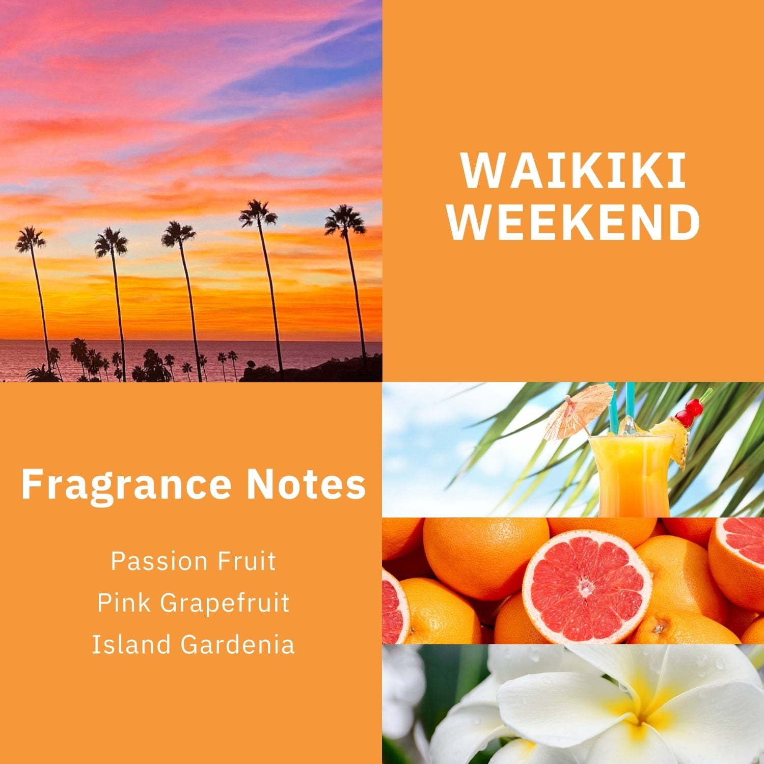 Scentworx Waikiki Weekend 3 Pack Hang Tag