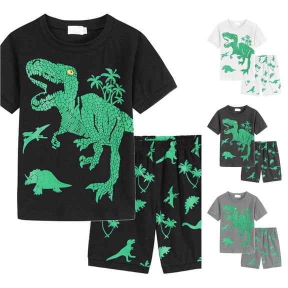Toddler Boy Clothes Summer Outfits Dinosaur Print Short Sleeved Top Short Pants Two-Piece Children's Clothing Set Size 2-3T ,Black