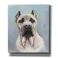 thumbnail image 1 of Epic Graffiti 'Cane Corso 2' by Barbara Keith, Canvas Wall Art, 26"x30", 1 of 8