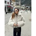 thumbnail image 1 of Abrigo de piel sintética con solapa y cremallera para mujer, chaqueta gruesa de manga larga, holgada y esponjosa, ropa de calle alta para otoño e invierno, 2024, 1 of 5