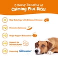 thumbnail image 3 of Zesty Paws Calming Plus Bites Turkey Flavor, 60 Count, 3 of 12