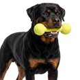 thumbnail image 4 of One Paw, Barbell Dog Toy, Rubber and Polyester, Fun Toy, Yellow, for Dogs, 4 of 7