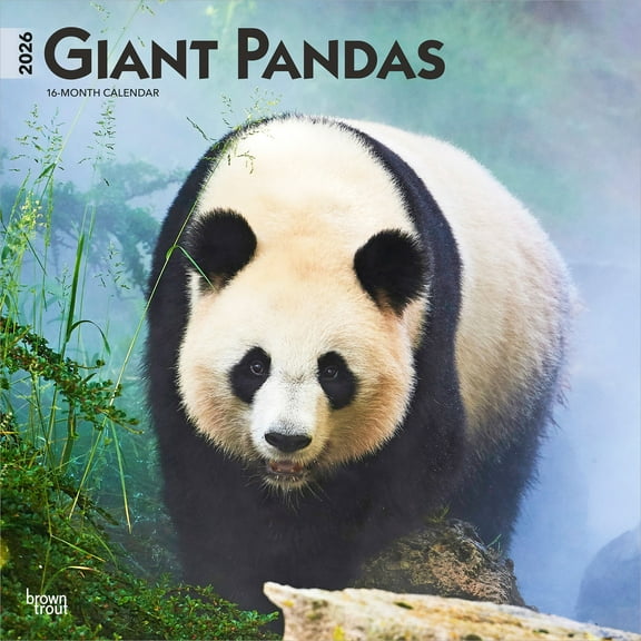 Giant Pandas | 2026 12x24" (Hanging) Wall Calendar | Plastic-Free | BrownTrout
