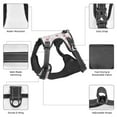 thumbnail image 3 of Naloa Cute Bow Tie Pet Harness Vest with Traction Rope, Adjustable No-Choke Dog Vest for Outdoor, Walking - Medium, 3 of 4