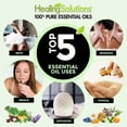 thumbnail image 3 of Healing Solutions 60ml Oils - Eucalyptus Essential Oil - 2 Fluid Ounces, 3 of 5