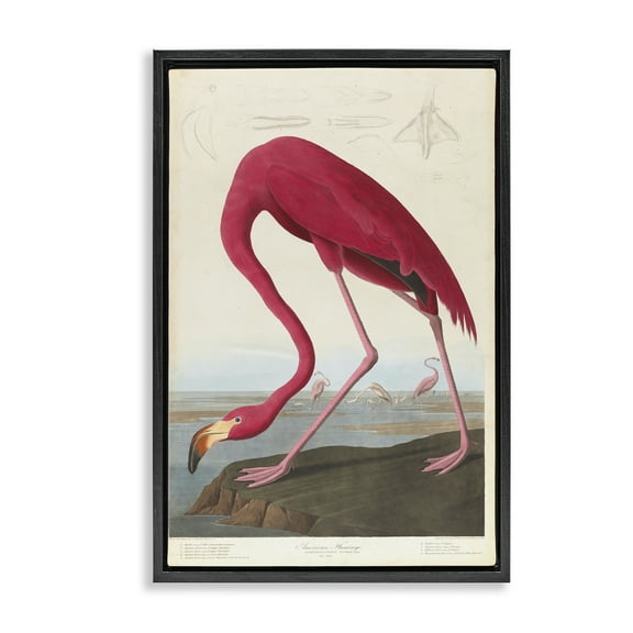 Stupell Industries Classic American Flamingo Animals Painting Black Floater Framed Canvas Art Print Wall Art, 17 x 25