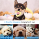 thumbnail image 4 of Juguetes para perros pequeños, paquete de 6 juguetes para perros pequeños, lindos juguetes para masticar cachorros traen felicidad, 4 of 5