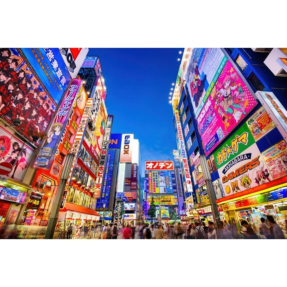 Evening In Akihabara Japan Puzzle For Adults And Kids | 1000 Piece Jigsaw Puzzle