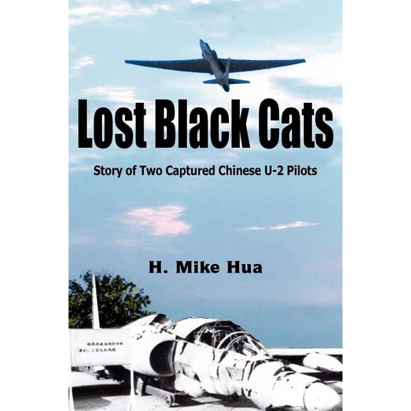 Lost Black Cats (Paperback)
