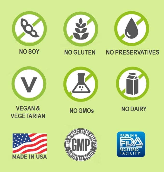 NATURELO Vitamin B Complex with Methyl B12, Methyl Folate, Vitamin B6, Biotin Plus Choline, CoQ10, and Fruit & Vegetable Blend - Supports Energy & Healthy Stress Response - Vegan - 120 Capsules