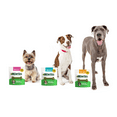 thumbnail image 6 of Minties Dental Bone Treats, Chews for Medium Dogs over 40 lbs, 8 Count, 6.4 oz, Shelf-Stable, 6 of 9